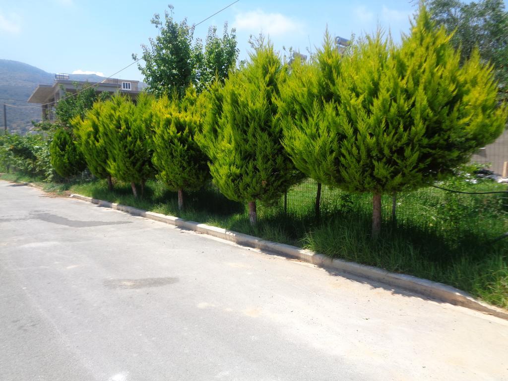 Creta Nostos Luxury Apartment Tsikalaria  Zewnętrze zdjęcie